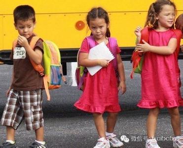 选择幼儿园重玩还是重学?